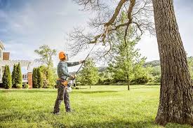 Professional Tree Care in Eielson Af, AK